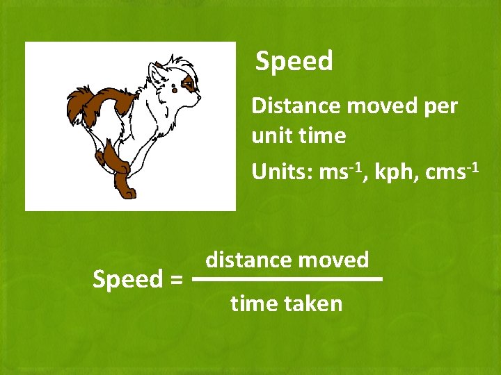Speed Acceleration Graphs Describing Motion What quantities are