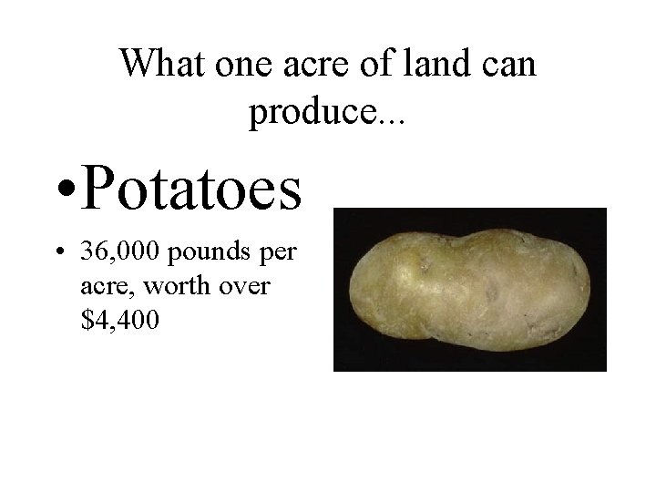 What one acre of land can produce. . . • Potatoes • 36, 000