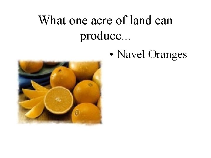 What one acre of land can produce. . . • Navel Oranges 