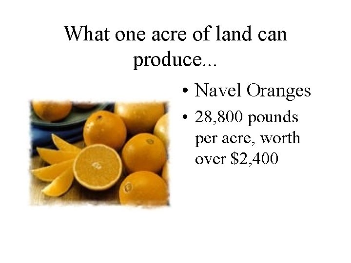 What one acre of land can produce. . . • Navel Oranges • 28,