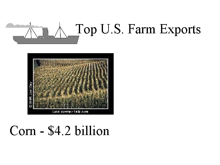 Top U. S. Farm Exports Corn - $4. 2 billion 