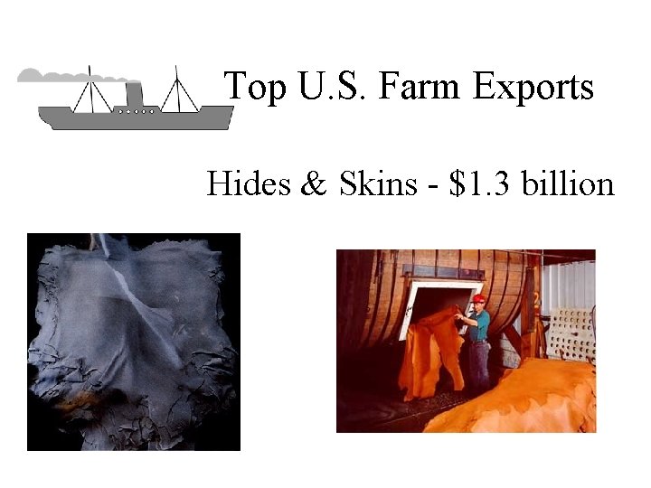 Top U. S. Farm Exports Hides & Skins - $1. 3 billion 