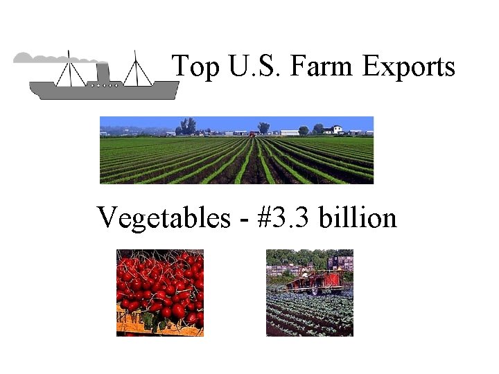 Top U. S. Farm Exports Vegetables - #3. 3 billion 