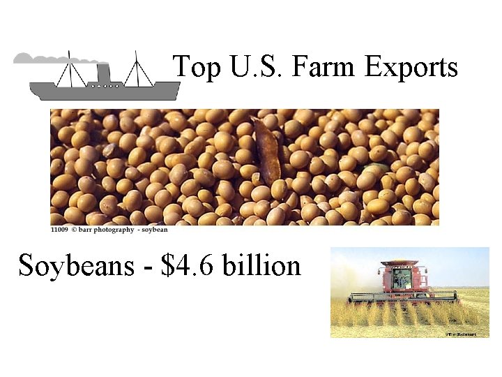 Top U. S. Farm Exports Soybeans - $4. 6 billion 