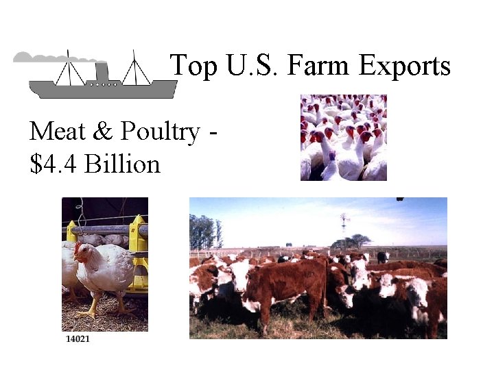 Top U. S. Farm Exports Meat & Poultry $4. 4 Billion 