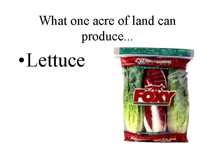 What one acre of land can produce. . . • Lettuce 