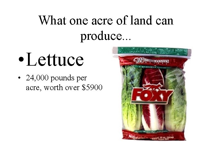 What one acre of land can produce. . . • Lettuce • 24, 000