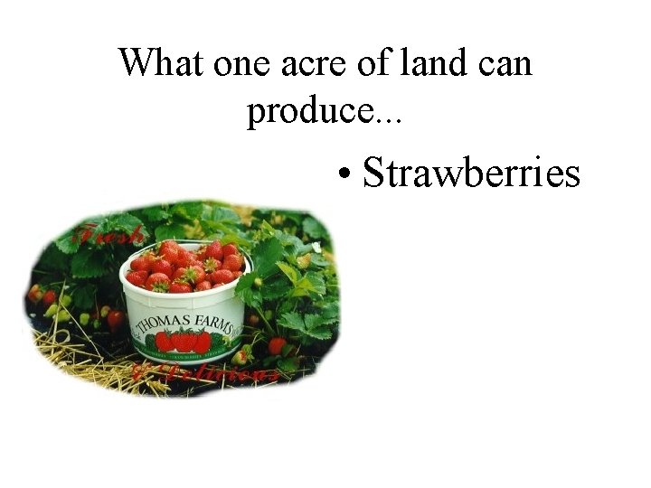 What one acre of land can produce. . . • Strawberries 