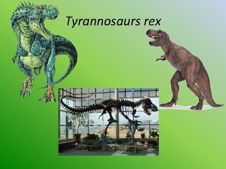 Tyrannosaurs rex 