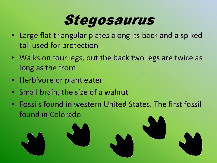 Stegosaurus • Large flat triangular plates along its back and a spiked tail used