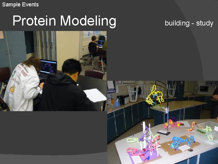 Sample Events Protein Modeling building - study 