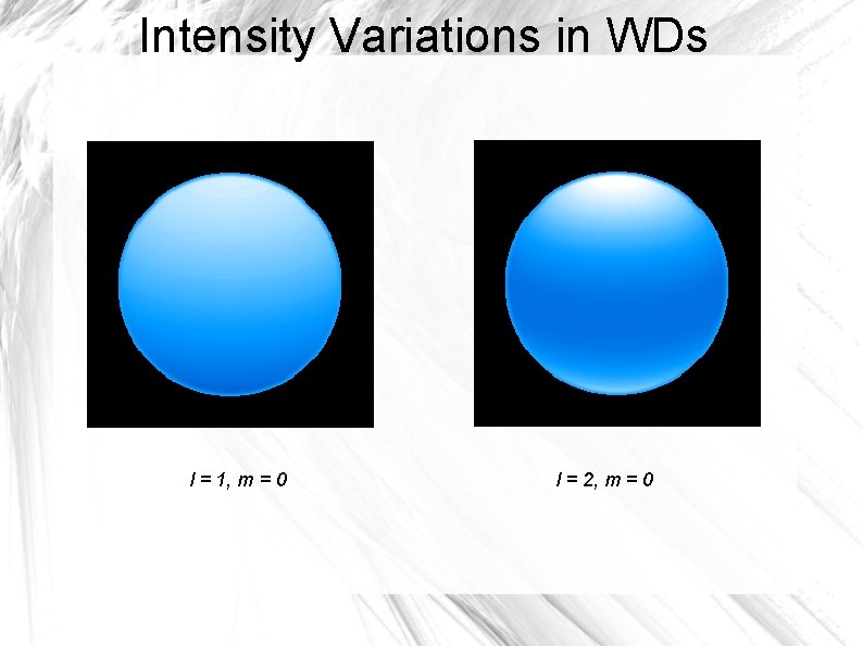 Intensity Variations in WDs l = 1, m = 0 l = 2, m