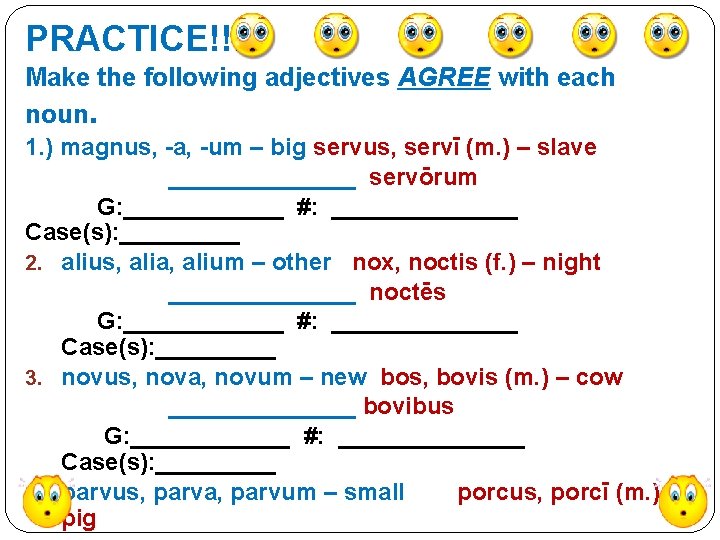 PRACTICE!!!! Make the following adjectives AGREE with each noun. 1. ) magnus, -a, -um