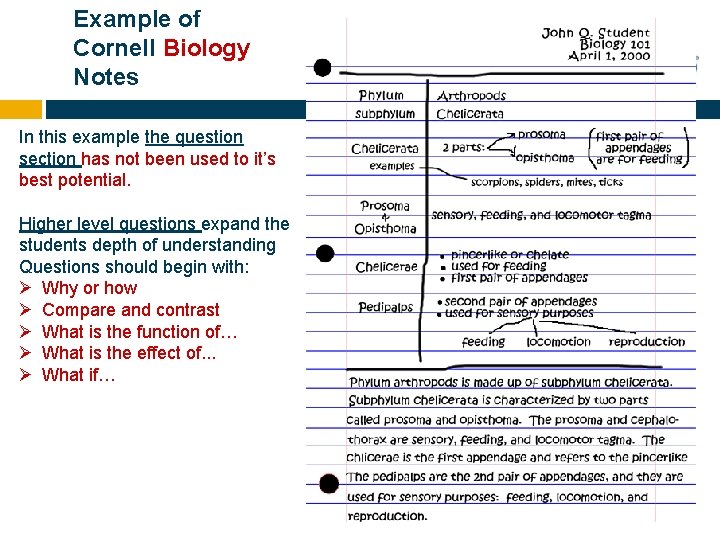 Example of Cornell Biology Notes In this example the question section has not been