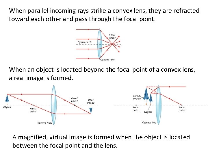 When parallel incoming rays strike a convex lens, they are refracted toward each other