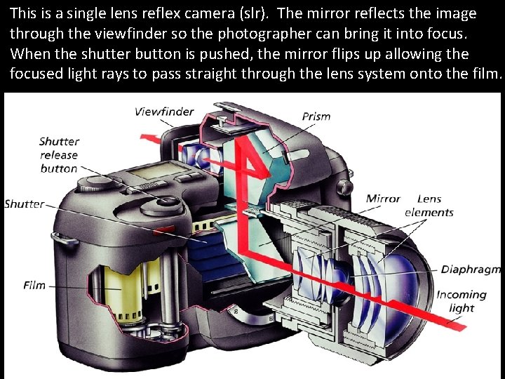 This is a single lens reflex camera (slr). The mirror reflects the image through