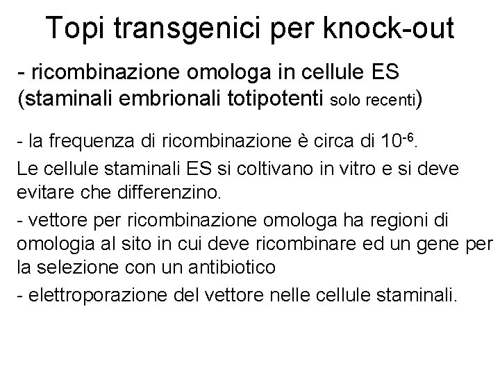 Topi transgenici per knock-out - ricombinazione omologa in cellule ES (staminali embrionali totipotenti solo
