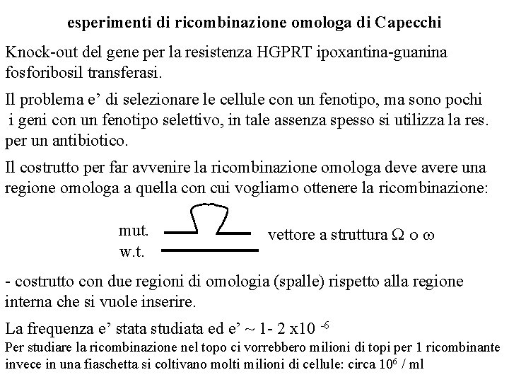 esperimenti di ricombinazione omologa di Capecchi Knock-out del gene per la resistenza HGPRT ipoxantina-guanina