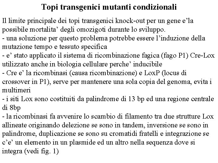 Topi transgenici mutanti condizionali Il limite principale dei topi transgenici knock-out per un gene