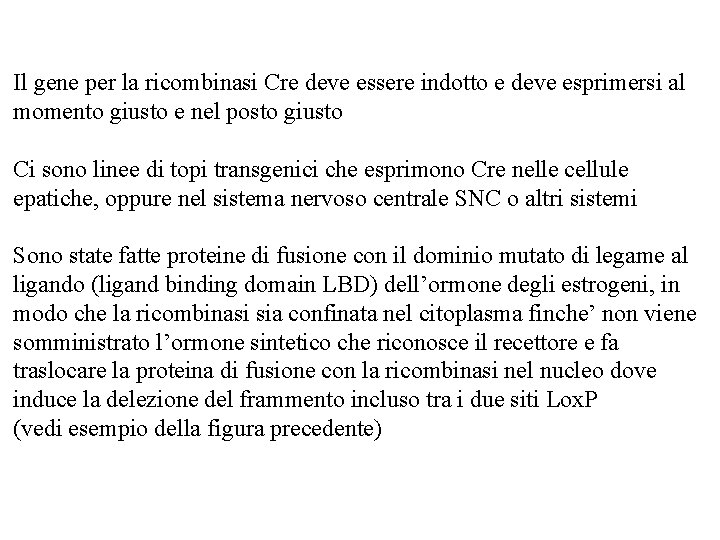 Il gene per la ricombinasi Cre deve essere indotto e deve esprimersi al momento