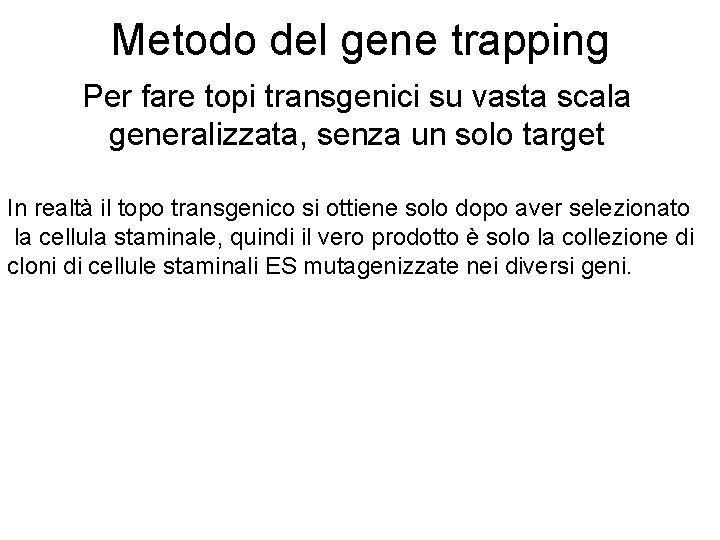 Metodo del gene trapping Per fare topi transgenici su vasta scala generalizzata, senza un