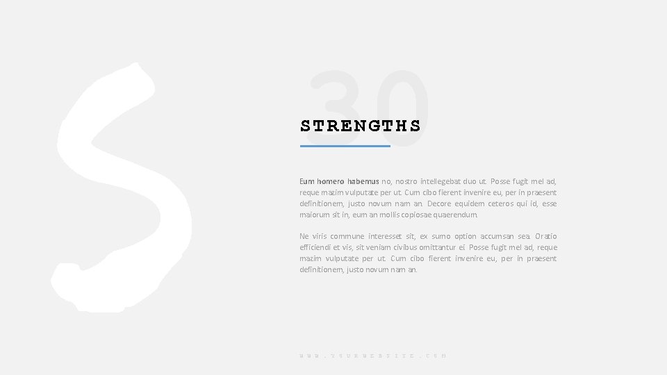 30 STRENGTHS Eum homero habemus no, nostro intellegebat duo ut. Posse fugit mel ad,