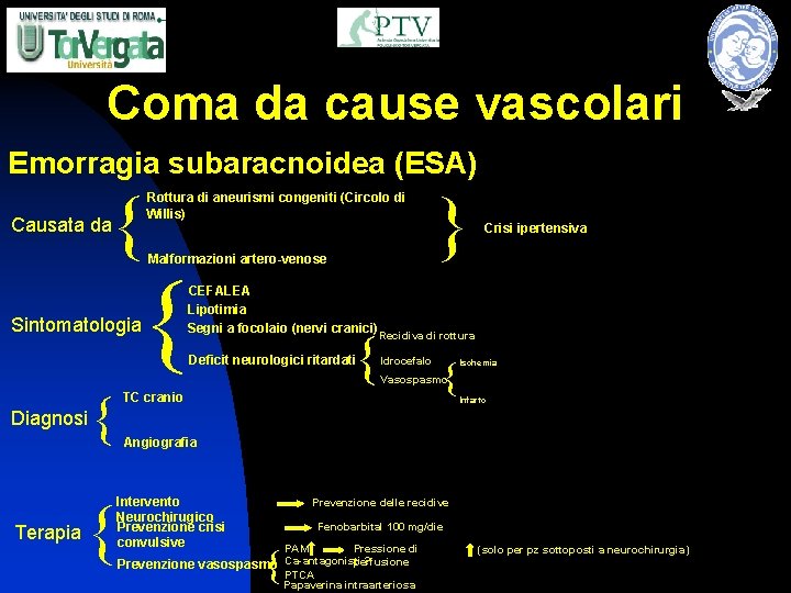 Coma da cause vascolari Emorragia subaracnoidea (ESA) Sintomatologia Malformazioni artero-venose { CEFALEA Lipotimia Segni