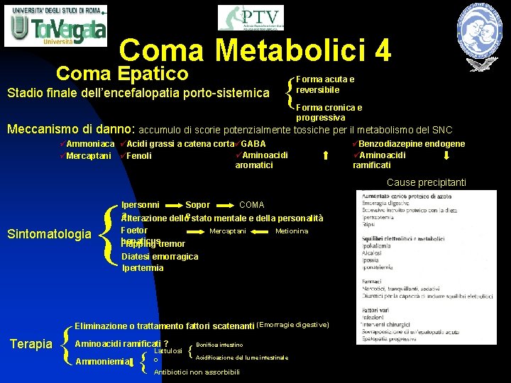 Coma Metabolici 4 Coma Epatico Stadio finale dell’encefalopatia porto-sistemica { Forma acuta e reversibile