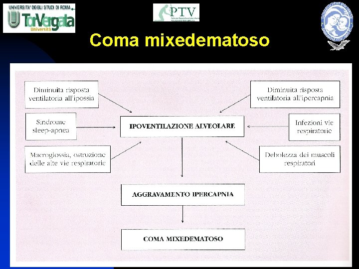 Coma mixedematoso 