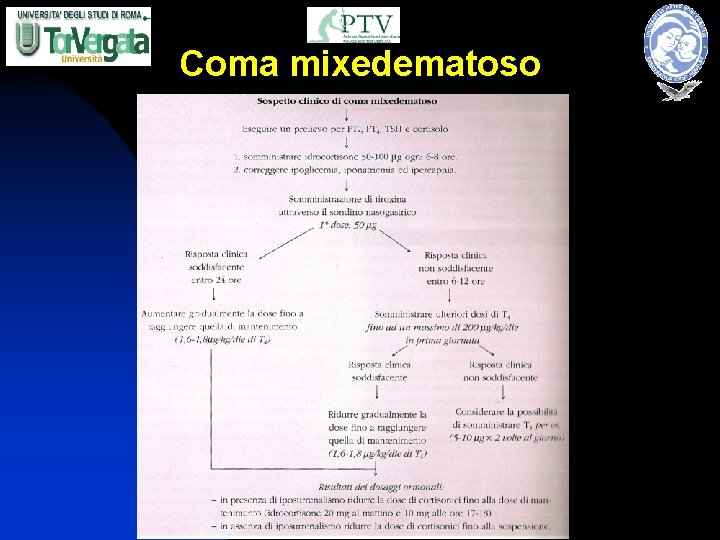 Coma mixedematoso 