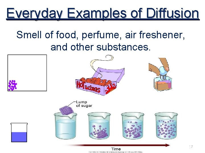 Everyday Examples of Diffusion Smell of food, perfume, air freshener, and other substances. 17