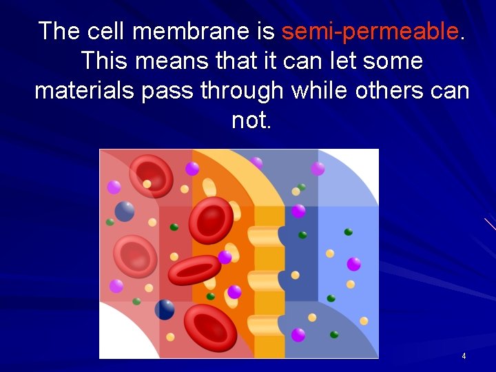 The cell membrane is semi-permeable. This means that it can let some materials pass