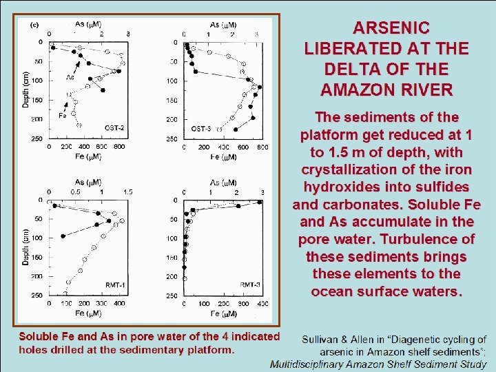 ARSENIC LIBERATED AT THE DELTA OF THE AMAZON RIVER The sediments of the platform