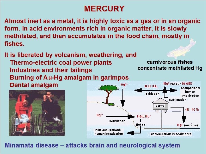 MERCURY Almost inert as a metal, it is highly toxic as a gas or