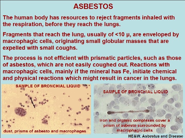 ASBESTOS The human body has resources to reject fragments inhaled with the respiration, before