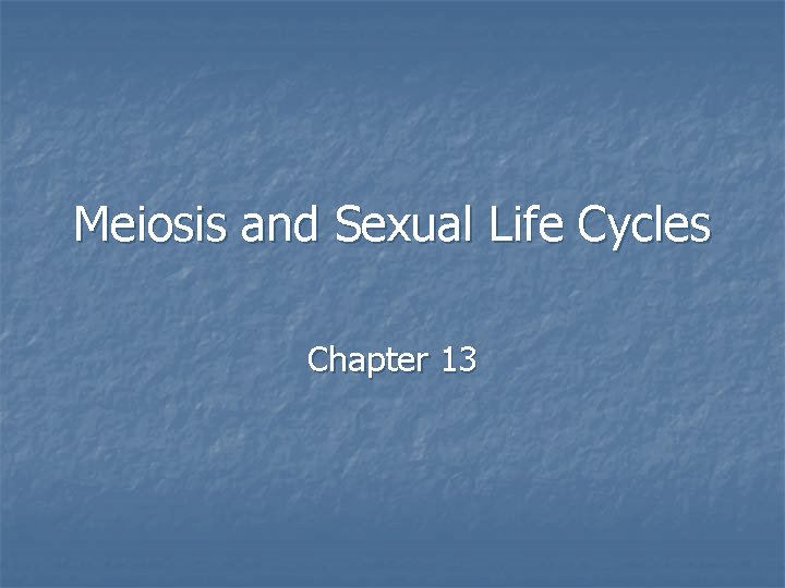 Meiosis and Sexual Life Cycles Chapter 13 