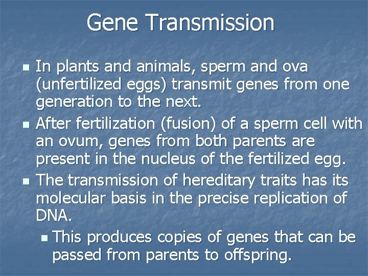 Gene Transmission n In plants and animals, sperm and ova (unfertilized eggs) transmit genes