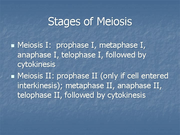 Stages of Meiosis n n Meiosis I: prophase I, metaphase I, anaphase I, telophase