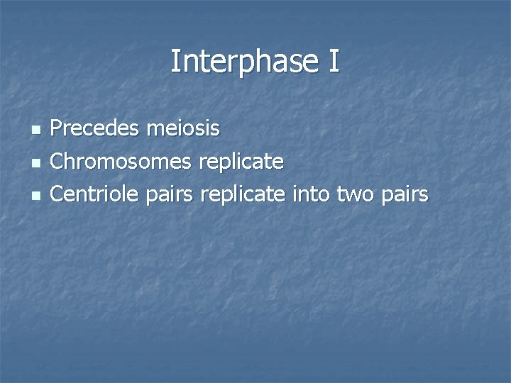 Interphase I n n n Precedes meiosis Chromosomes replicate Centriole pairs replicate into two