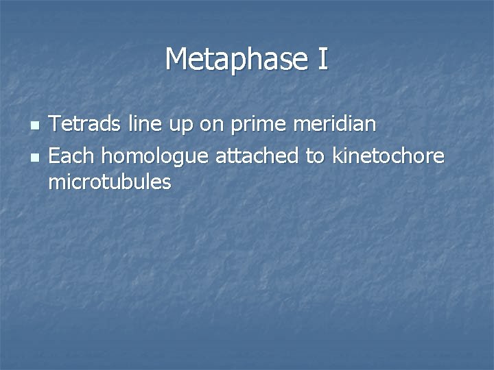 Metaphase I n n Tetrads line up on prime meridian Each homologue attached to