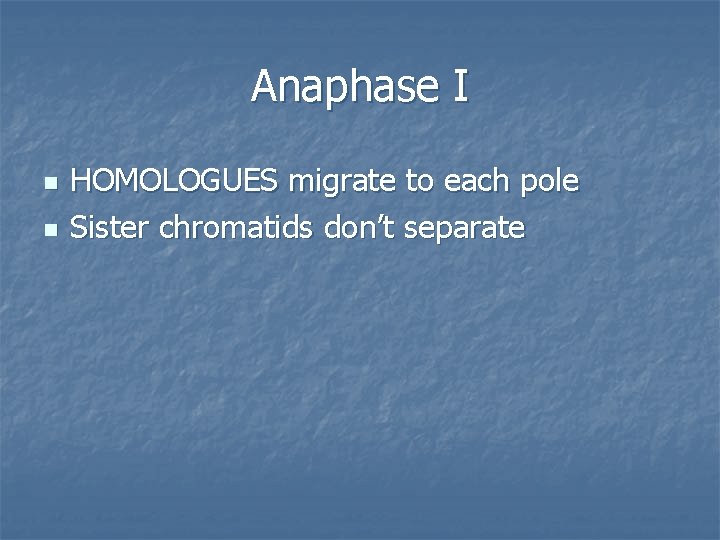 Anaphase I n n HOMOLOGUES migrate to each pole Sister chromatids don’t separate 