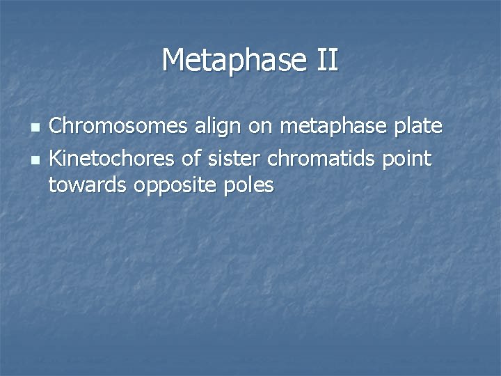 Metaphase II n n Chromosomes align on metaphase plate Kinetochores of sister chromatids point