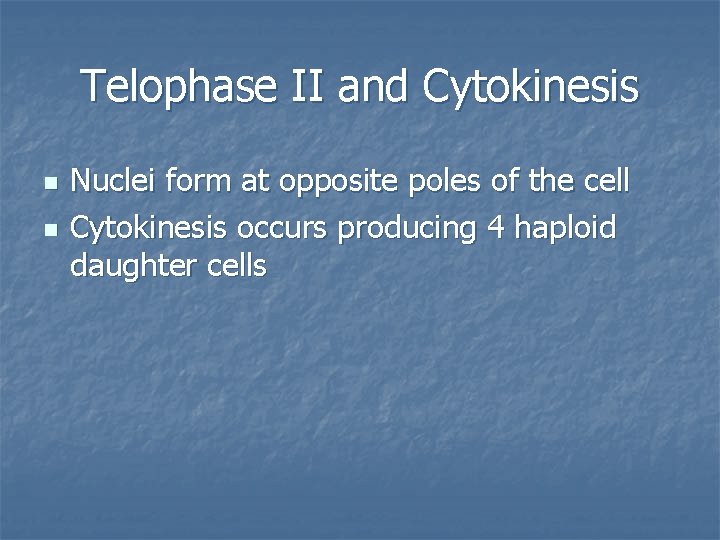 Telophase II and Cytokinesis n n Nuclei form at opposite poles of the cell