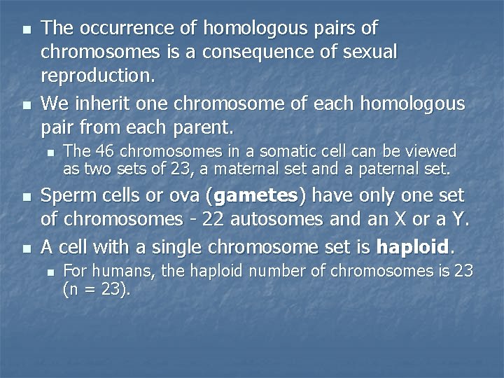 n n The occurrence of homologous pairs of chromosomes is a consequence of sexual