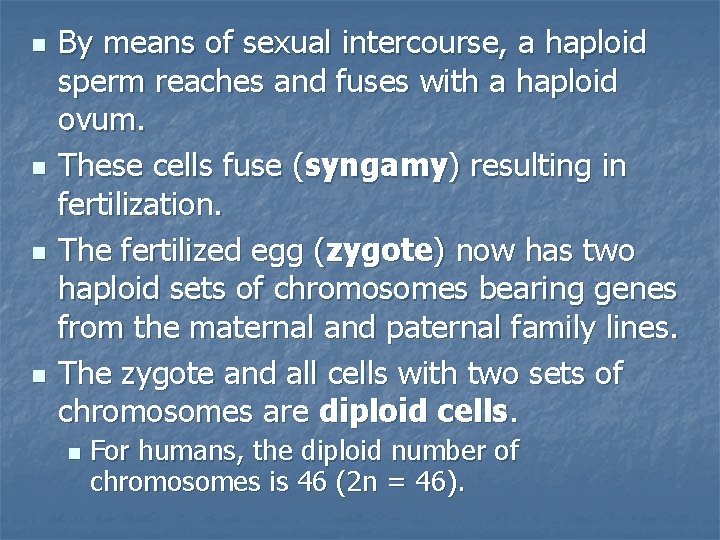 n n By means of sexual intercourse, a haploid sperm reaches and fuses with