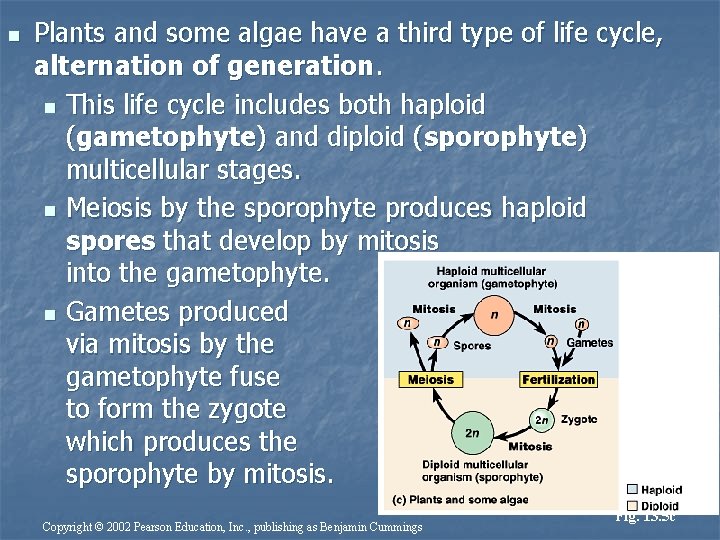 n Plants and some algae have a third type of life cycle, alternation of