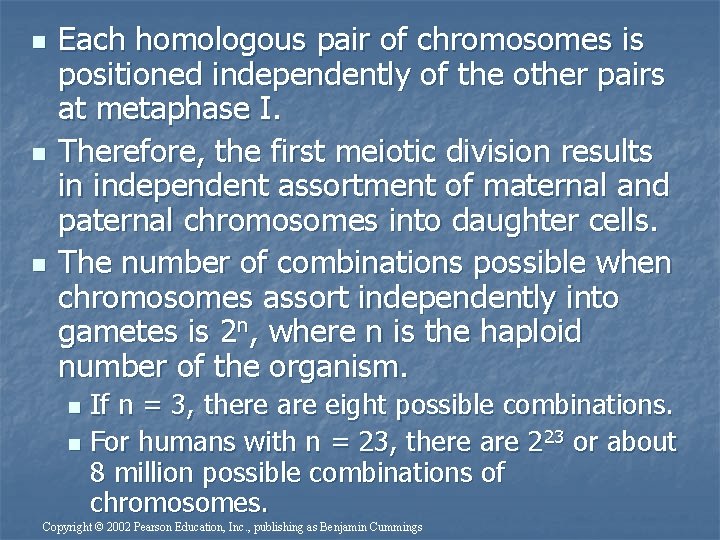 n n n Each homologous pair of chromosomes is positioned independently of the other