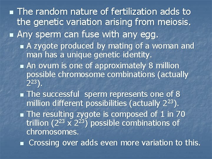 n n The random nature of fertilization adds to the genetic variation arising from
