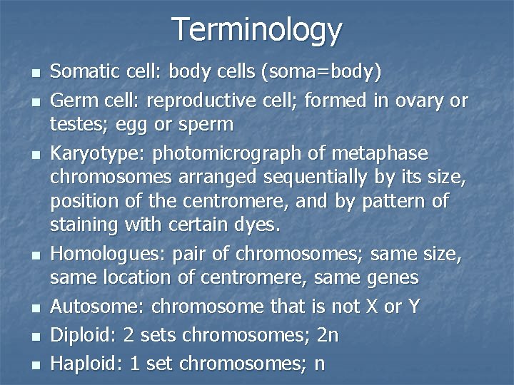 Terminology n n n n Somatic cell: body cells (soma=body) Germ cell: reproductive cell;