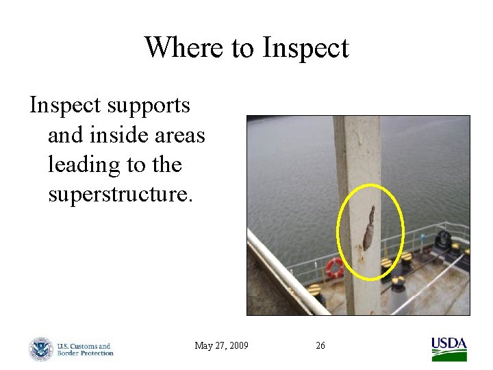 Where to Inspect supports and inside areas leading to the superstructure. May 27, 2009